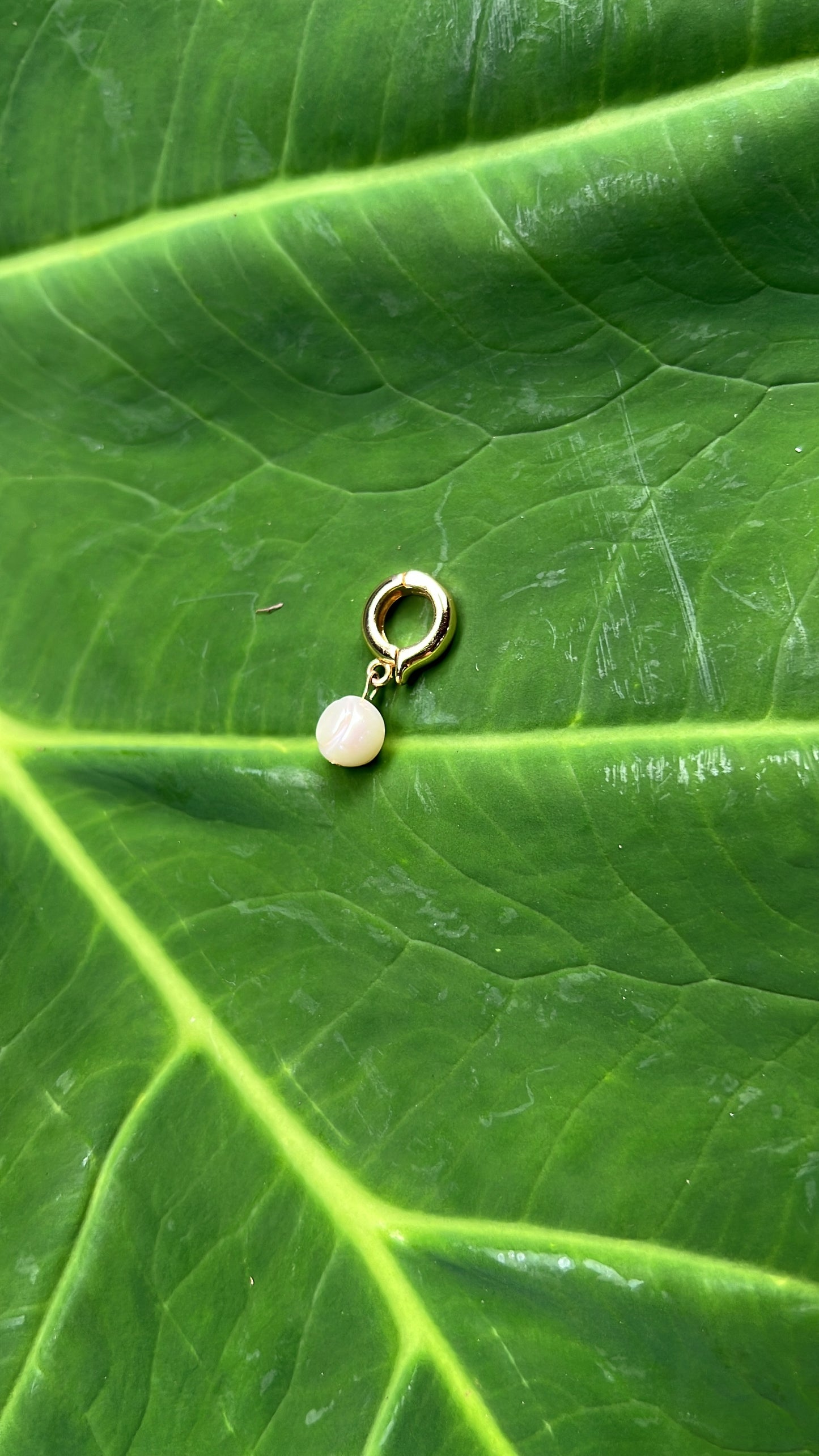 Pearl Pendant • 18K Gold Plated