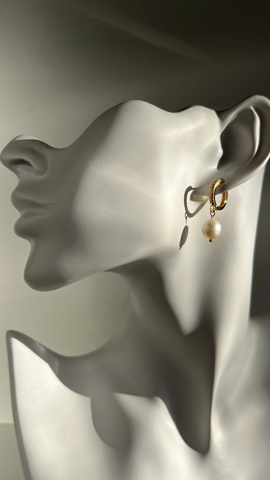 Luxurious • Earrings •  Pearl •  14K Gold plated